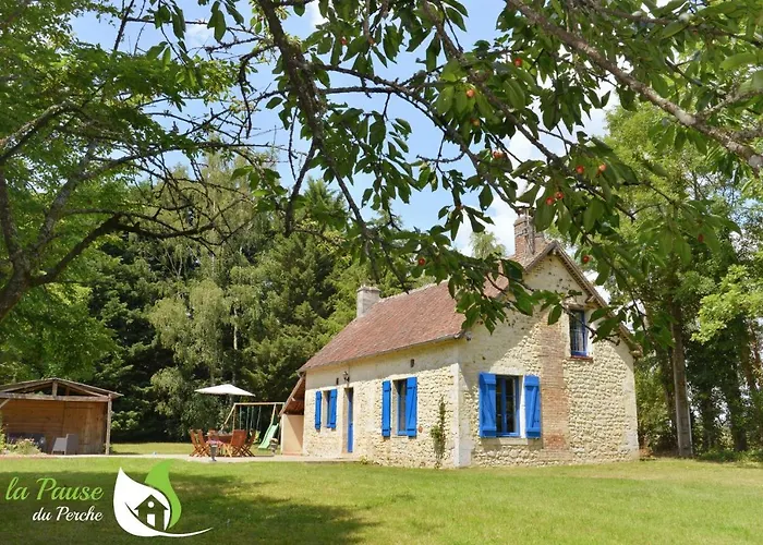La Pause Du Perche - Gite Au Pied De La Foret La Perriere  photo