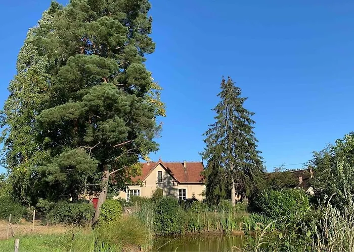 Maison Lumineuse Et Renovee Au Coeur Du Perche Malétableの写真