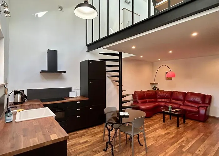 Фото Апартаменты Loft Cosy Damigny