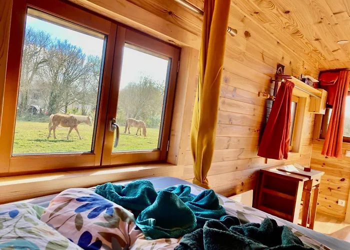 Фото Vue Poneys, 40Min Mt St Michel 30Min Mer Draps Serviettes Baie Normandie Cottage La Chapelle-Cecelin