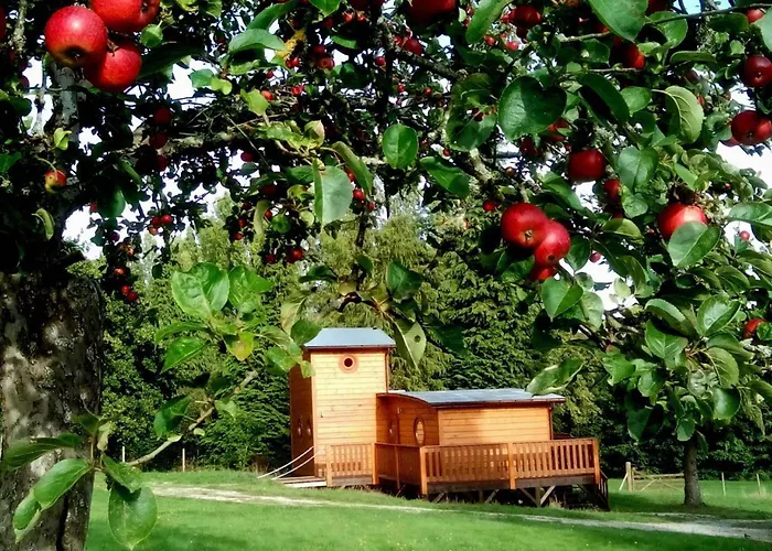 Chalet En Bois Dans Nature, Animaux Admis, Wifi - Fr-1-497-184 Ecouves φωτογραφία