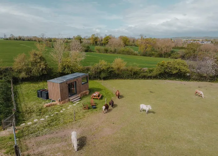 הוילה Landes-sur-Ajon Parcel Tiny House I Pommiers תמונה