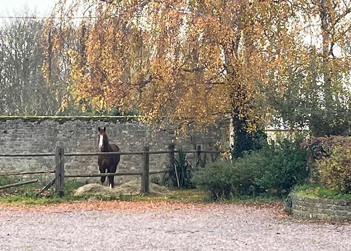 Chambres D'Hotes Du Grand Parc Rucqueville fotorgafie