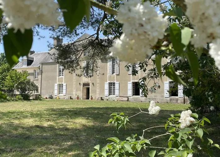 Chateau De Saint Clair photo