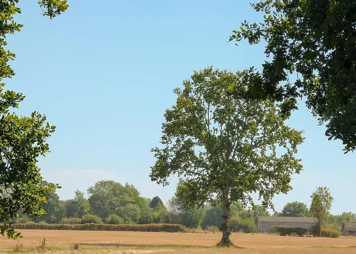 La Maison Greenwood - Piscine chauffée Ouilly-du-Houley Foto